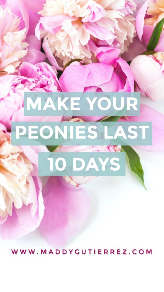 HOW TO MAKE YOUR PEONIES LAST 10 DAYS