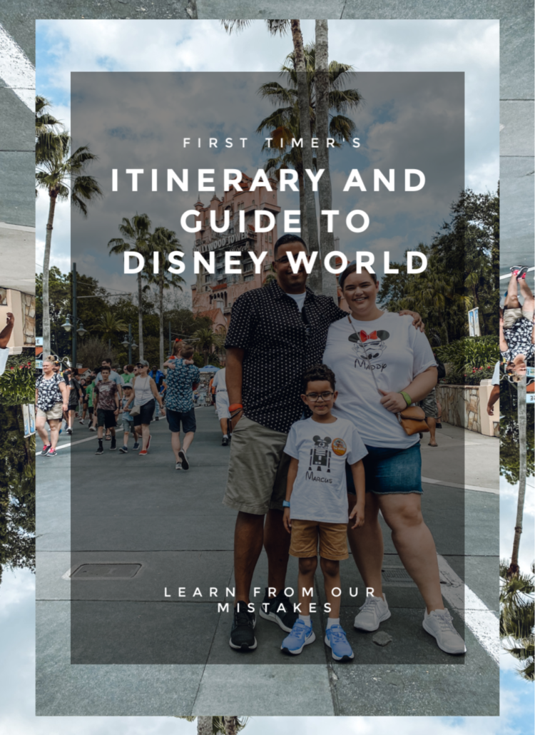 FIRST TIMER’S GUIDE TO DISNEY